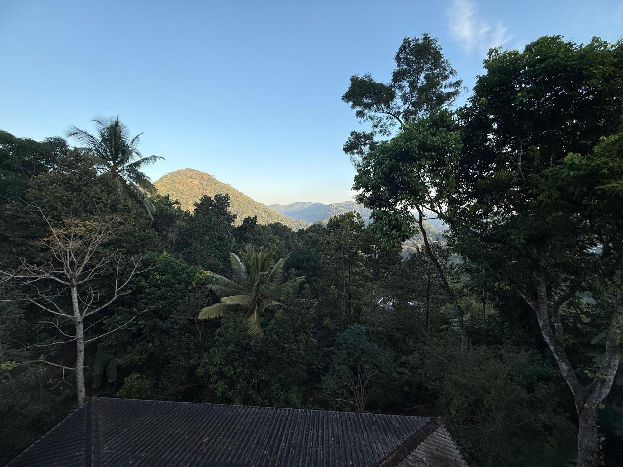 Araliya Home Stay Kandy Ngoại thất bức ảnh