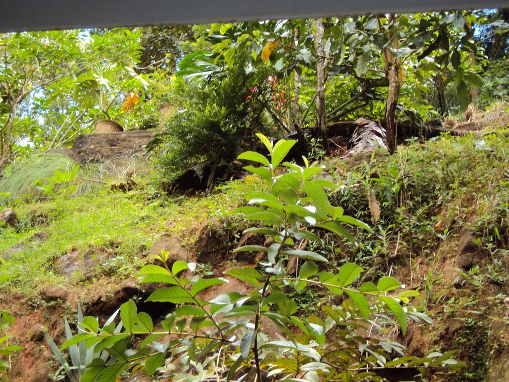 Araliya Home Stay Kandy Ngoại thất bức ảnh