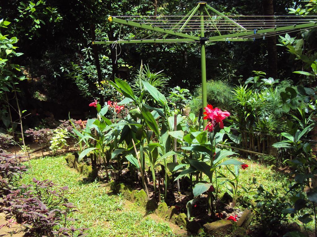 Araliya Home Stay Kandy Ngoại thất bức ảnh
