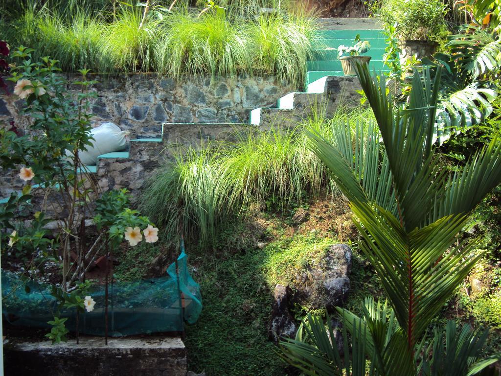 Araliya Home Stay Kandy Ngoại thất bức ảnh