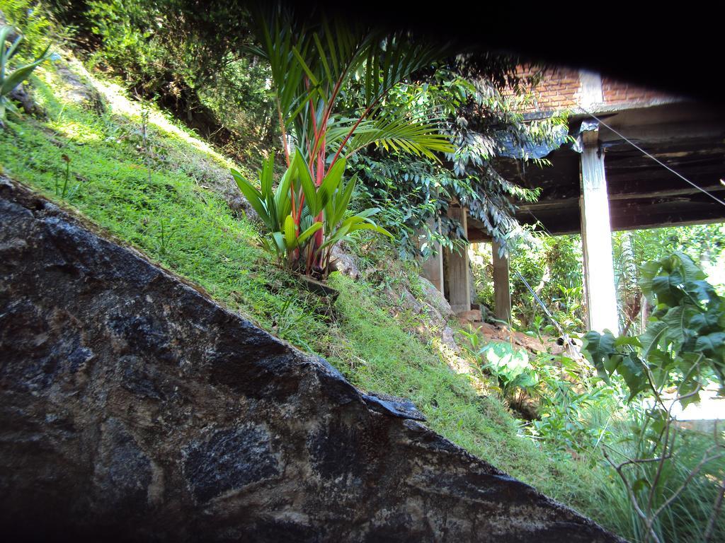 Araliya Home Stay Kandy Ngoại thất bức ảnh