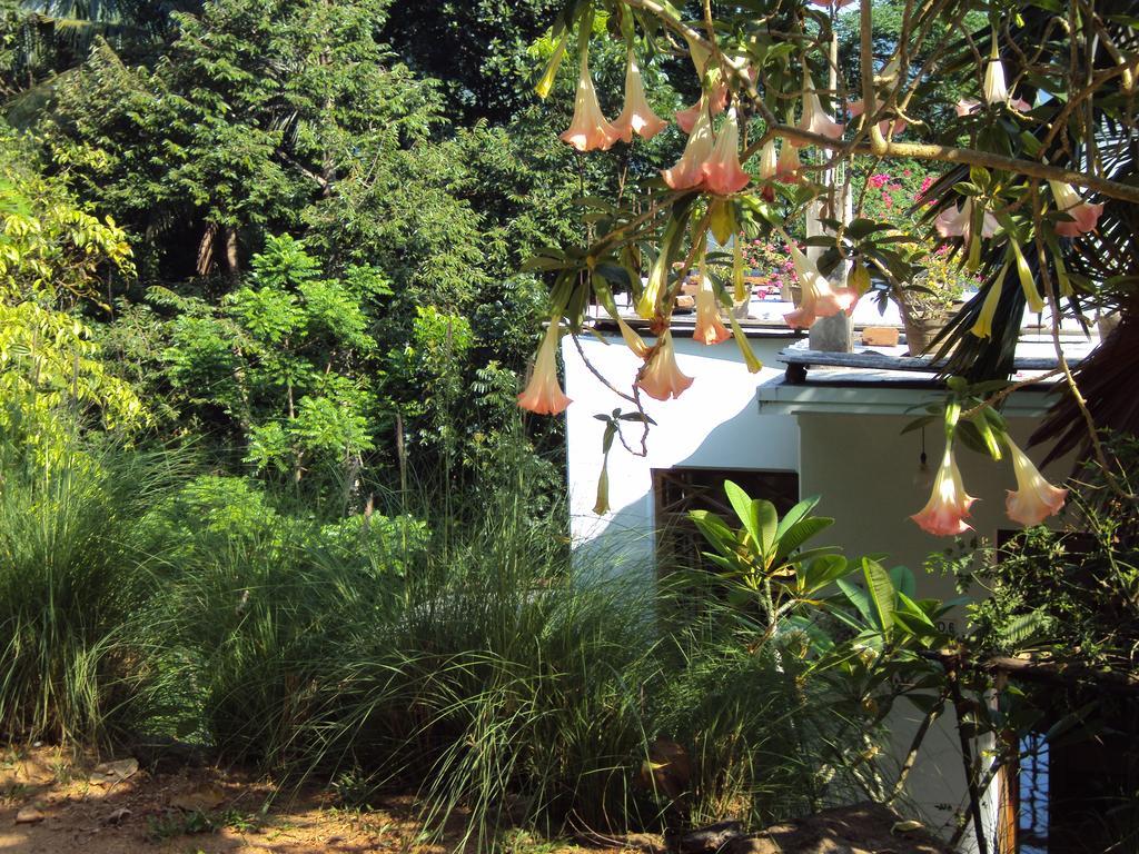 Araliya Home Stay Kandy Ngoại thất bức ảnh