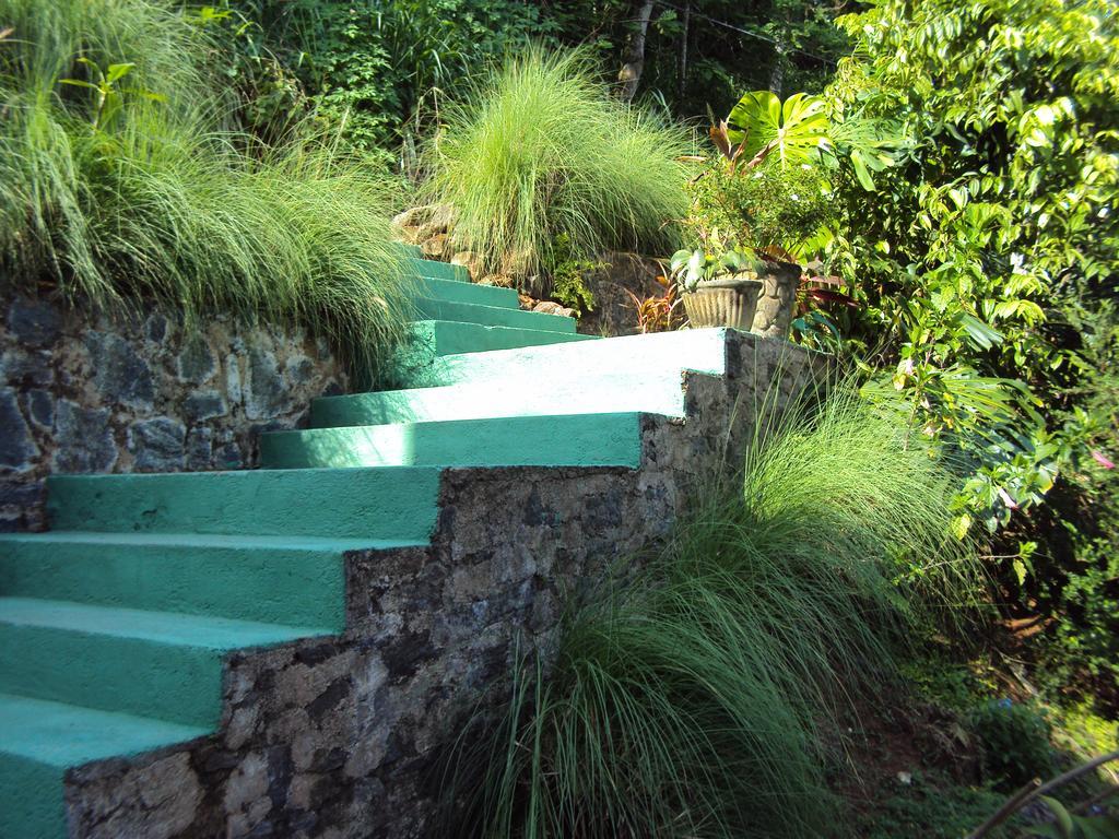 Araliya Home Stay Kandy Ngoại thất bức ảnh