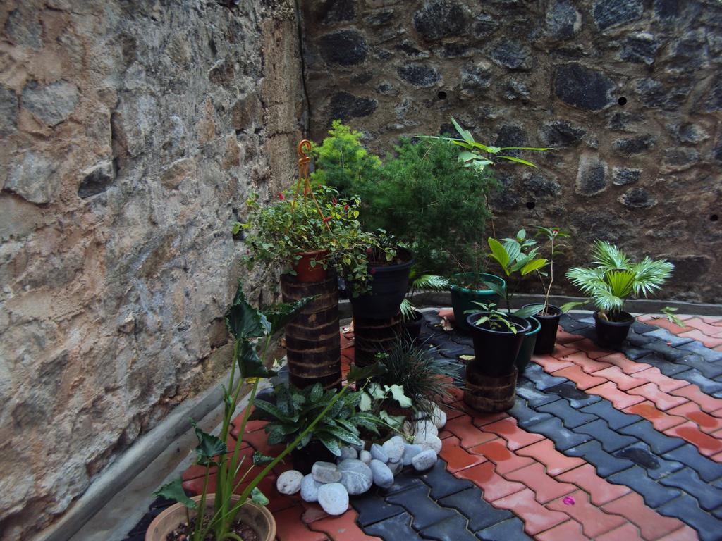 Araliya Home Stay Kandy Ngoại thất bức ảnh
