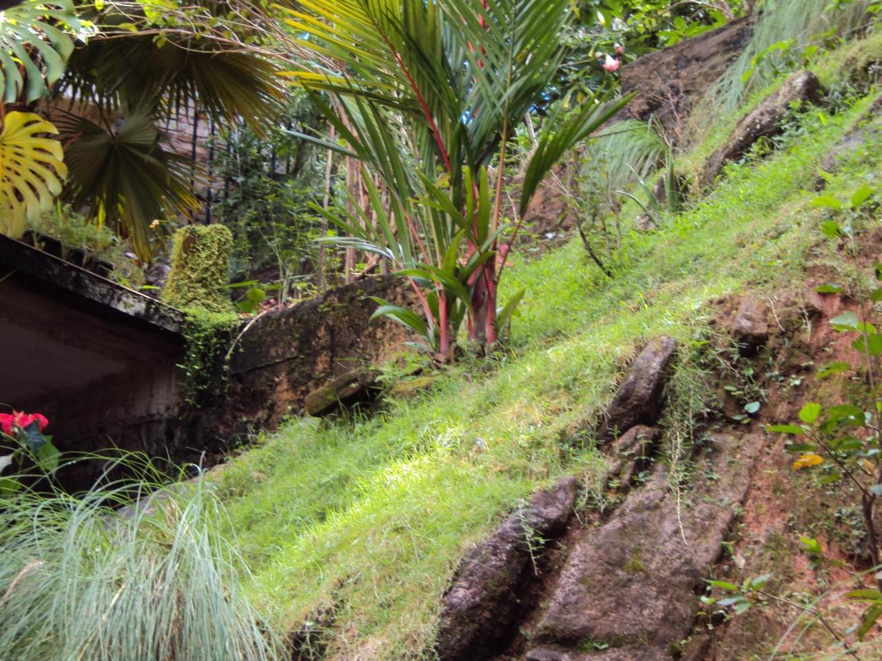 Araliya Home Stay Kandy Ngoại thất bức ảnh